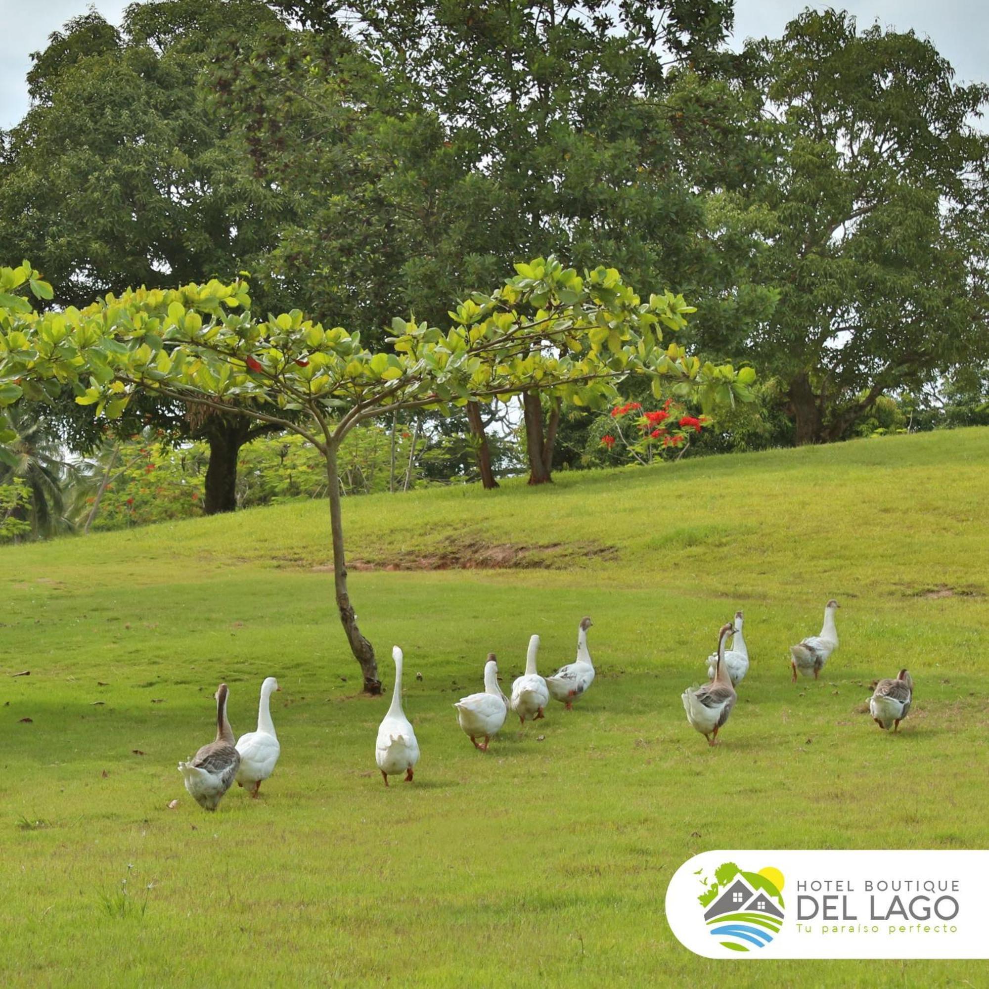 Hotel Boutique Del Lago Nagua Bagian luar foto